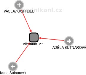 Alternum, z.s. - náhled vizuálního zobrazení vztahů obchodního rejstříku