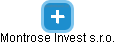 Montrose Invest s.r.o. - náhled vizuálního zobrazení vztahů obchodního rejstříku