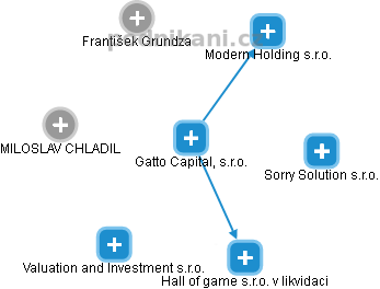 Gatto Capital, s.r.o. - náhled vizuálního zobrazení vztahů obchodního rejstříku