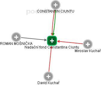 Nadační fond Constantina Ciuntu - náhled vizuálního zobrazení vztahů obchodního rejstříku