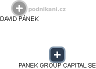 PANEK GROUP CAPITAL SE - náhled vizuálního zobrazení vztahů obchodního rejstříku