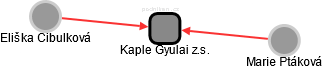 Kaple Gyulai z.s. - náhled vizuálního zobrazení vztahů obchodního rejstříku