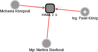 nvias, z. s. - náhled vizuálního zobrazení vztahů obchodního rejstříku