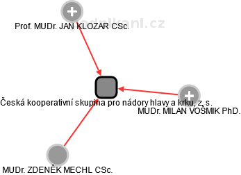 Česká kooperativní skupina pro nádory hlavy a krku, z. s. - náhled vizuálního zobrazení vztahů obchodního rejstříku