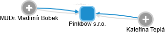 Pinkbow s.r.o. - náhled vizuálního zobrazení vztahů obchodního rejstříku