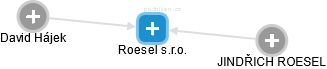 Roesel s.r.o. - náhled vizuálního zobrazení vztahů obchodního rejstříku