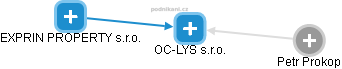 OC-LYS s.r.o. - náhled vizuálního zobrazení vztahů obchodního rejstříku
