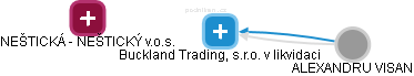 Buckland Trading, s.r.o. v likvidaci - náhled vizuálního zobrazení vztahů obchodního rejstříku