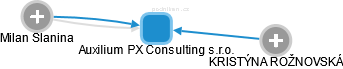 Auxilium PX Consulting s.r.o. - náhled vizuálního zobrazení vztahů obchodního rejstříku