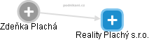 Reality Plachý s.r.o. - náhled vizuálního zobrazení vztahů obchodního rejstříku