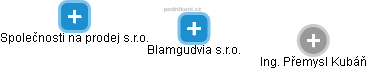 Blamgudvia s.r.o. - náhled vizuálního zobrazení vztahů obchodního rejstříku