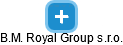 B.M. Royal Group s.r.o. - náhled vizuálního zobrazení vztahů obchodního rejstříku