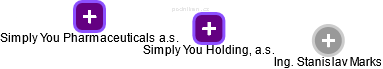 Simply You Holding, a.s. - náhled vizuálního zobrazení vztahů obchodního rejstříku