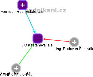 OC Kaštanová, a.s. - náhled vizuálního zobrazení vztahů obchodního rejstříku