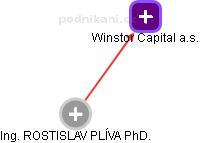 Winstor Capital a.s. - náhled vizuálního zobrazení vztahů obchodního rejstříku