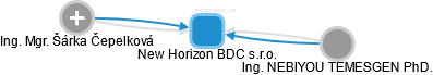 New Horizon BDC s.r.o. - náhled vizuálního zobrazení vztahů obchodního rejstříku