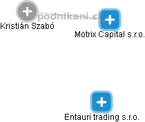 Motrix Capital s.r.o. - náhled vizuálního zobrazení vztahů obchodního rejstříku