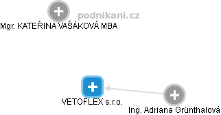 VETOFLEX s.r.o. - náhled vizuálního zobrazení vztahů obchodního rejstříku