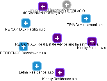 RE CAPITAL - Real Estate Advice and Investment a.s. - náhled vizuálního zobrazení vztahů obchodního rejstříku