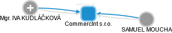 CommercInt s.r.o. - náhled vizuálního zobrazení vztahů obchodního rejstříku