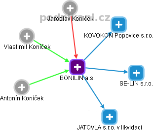 BONILIN a.s. - náhled vizuálního zobrazení vztahů obchodního rejstříku