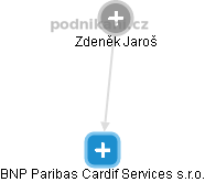 BNP Paribas Cardif Services s.r.o. - náhled vizuálního zobrazení vztahů obchodního rejstříku