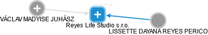 Reyes Life Studio s.r.o. - náhled vizuálního zobrazení vztahů obchodního rejstříku