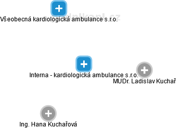 Interna - kardiologická ambulance s.r.o. - náhled vizuálního zobrazení vztahů obchodního rejstříku