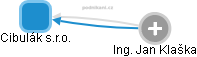 Cibulák s.r.o. - náhled vizuálního zobrazení vztahů obchodního rejstříku