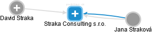Straka Consulting s.r.o. - náhled vizuálního zobrazení vztahů obchodního rejstříku