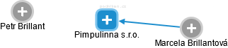 Pimpulinna s.r.o. - náhled vizuálního zobrazení vztahů obchodního rejstříku