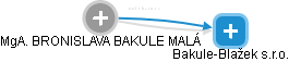 Bakule-Blažek s.r.o. - náhled vizuálního zobrazení vztahů obchodního rejstříku