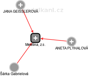 Meetina, z.s. - náhled vizuálního zobrazení vztahů obchodního rejstříku