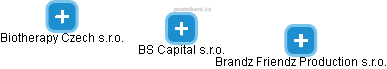 BS Capital s.r.o. - náhled vizuálního zobrazení vztahů obchodního rejstříku