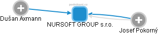 NURSOFT GROUP s.r.o. - náhled vizuálního zobrazení vztahů obchodního rejstříku