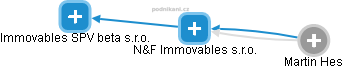 N&F Immovables s.r.o. - náhled vizuálního zobrazení vztahů obchodního rejstříku