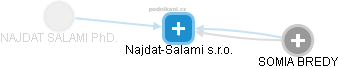 Najdat-Salami s.r.o. - náhled vizuálního zobrazení vztahů obchodního rejstříku