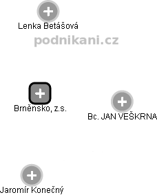 Brněnsko, z.s. - náhled vizuálního zobrazení vztahů obchodního rejstříku