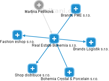 Real Estate Bohemia s.r.o. - náhled vizuálního zobrazení vztahů obchodního rejstříku