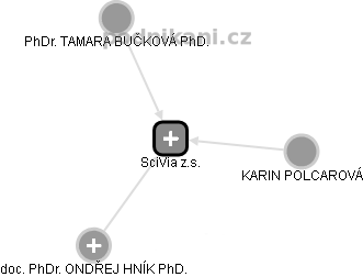 SciVia z.s. - náhled vizuálního zobrazení vztahů obchodního rejstříku