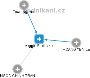 Veggie Fruit s.r.o. - náhled vizuálního zobrazení vztahů obchodního rejstříku