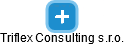 Triflex Consulting s.r.o. - náhled vizuálního zobrazení vztahů obchodního rejstříku