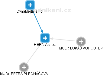 HERNIA s.r.o. - náhled vizuálního zobrazení vztahů obchodního rejstříku