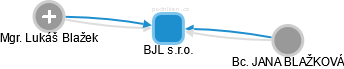 BJL s.r.o. - náhled vizuálního zobrazení vztahů obchodního rejstříku
