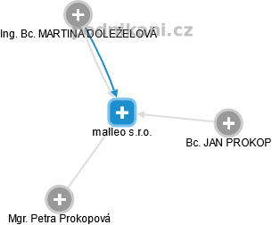 malleo s.r.o. - náhled vizuálního zobrazení vztahů obchodního rejstříku