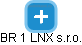 BR 1 LNX s.r.o. - náhled vizuálního zobrazení vztahů obchodního rejstříku