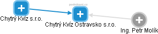 Chytrý Kvíz Ostravsko s.r.o. - náhled vizuálního zobrazení vztahů obchodního rejstříku