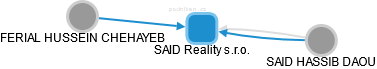 SAID Reality s.r.o. - náhled vizuálního zobrazení vztahů obchodního rejstříku