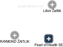 Pearl of Health SE - náhled vizuálního zobrazení vztahů obchodního rejstříku