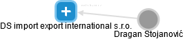 DS import export international s.r.o. - náhled vizuálního zobrazení vztahů obchodního rejstříku